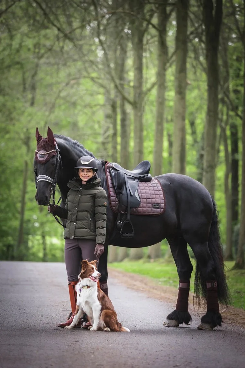 Bandages Rohne - paard de LeMieux en Middenblauw – photo produit