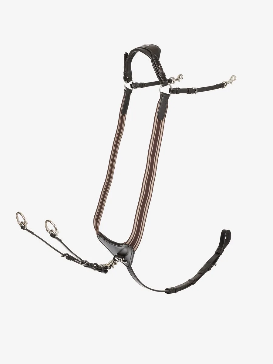 Borsttuig Lemieux Arika Elasticated by LeMieux in Bruin-zilver – product photo