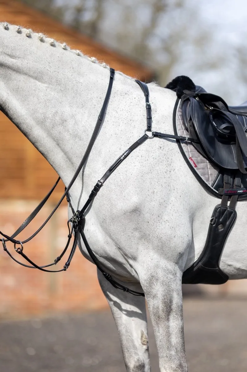 Borsttuig - paard by LeMieux in Black – product photo