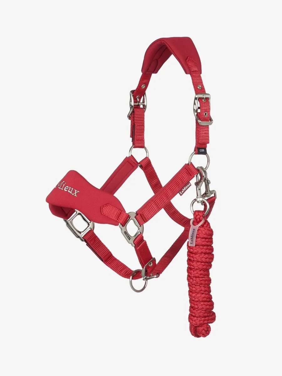 Breakaway Vogue Halster Cob by LeMieux in Chilli – product photo