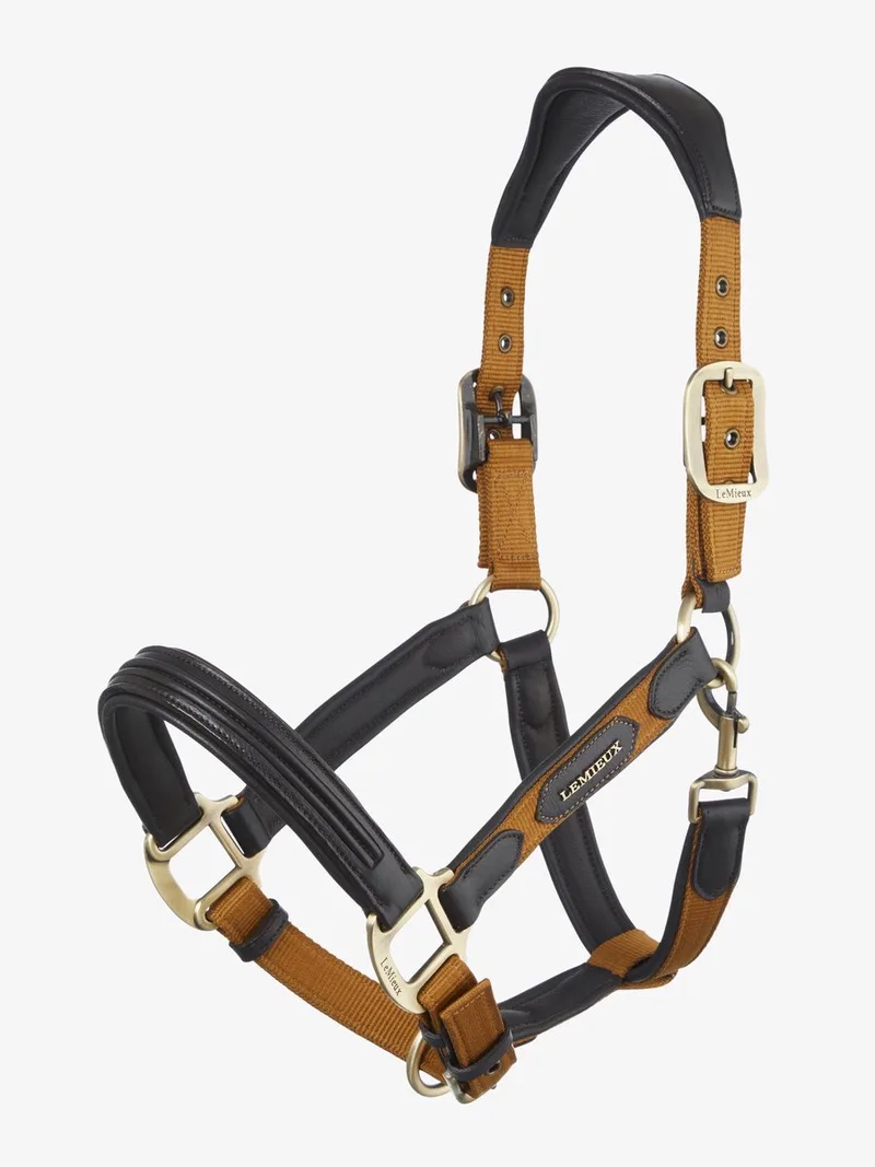 Capella Halster FW24 Full by LeMieux in Ginger – product photo