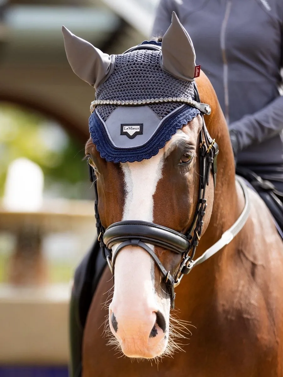 Classic Frontriem Twilight Cob van LeMieux in Zwart – productfoto