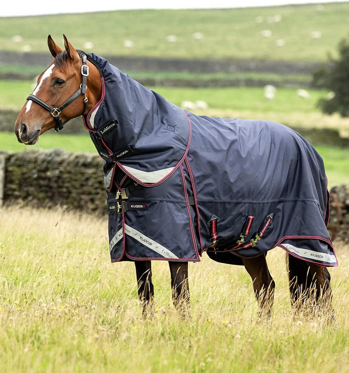 Deken Lemieux Kudos Thermo Pro Turnout 300gr - 140/191 de LeMieux en Bleu foncé – photo produit