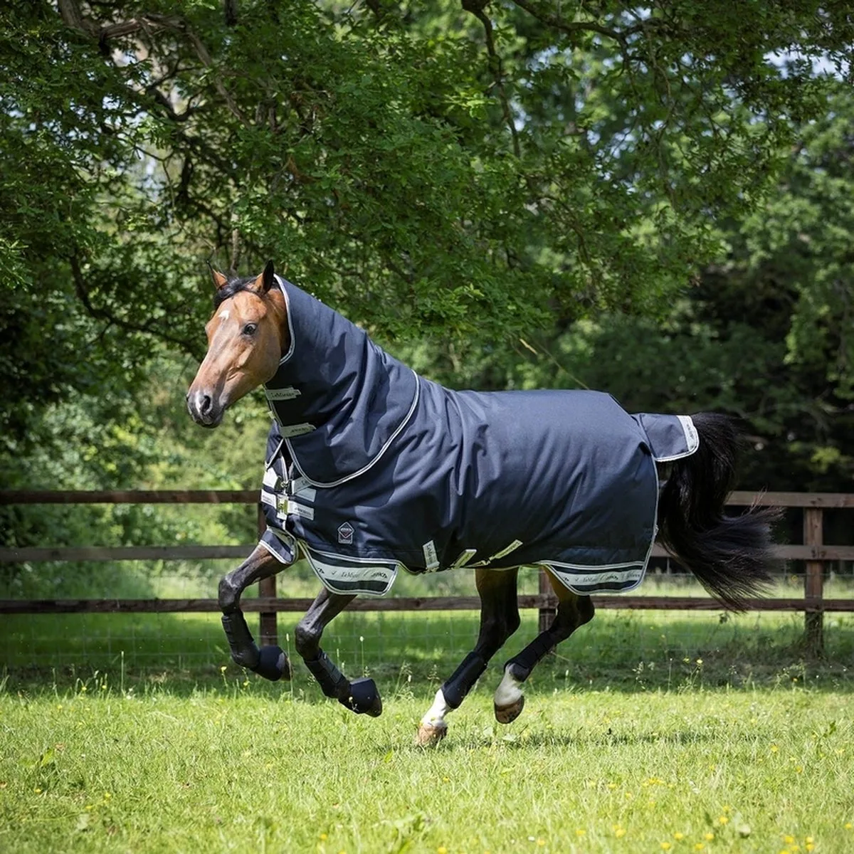 Deken Turnout Arika 100gr - 198 de LeMieux en Bleu foncé – photo produit