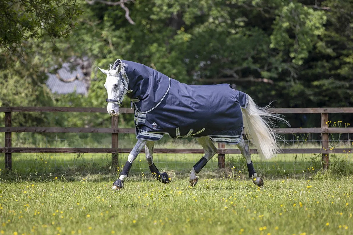 Deken Turnout Arika 100gr - 206 de LeMieux en Bleu foncé – photo produit