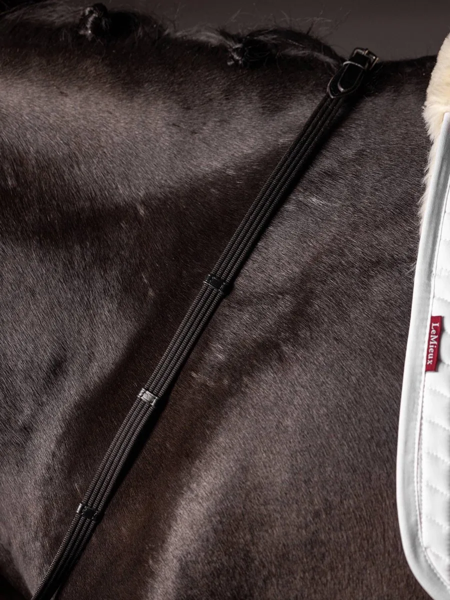 Geweven Teugels Continental Full de LeMieux en Noir, Argent – photo produit