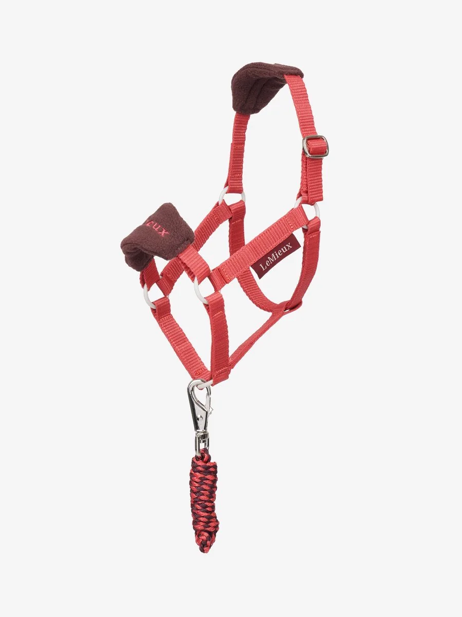 Halsterset Lemieux Hobby Horse Vogue Aw25 de LeMieux en Donkerroze – photo produit