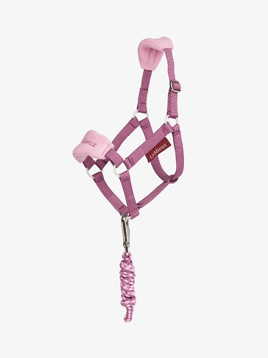Halsterset Lemieux Hobby Horse Vogue Ss26 by LeMieux in Pink – product photo