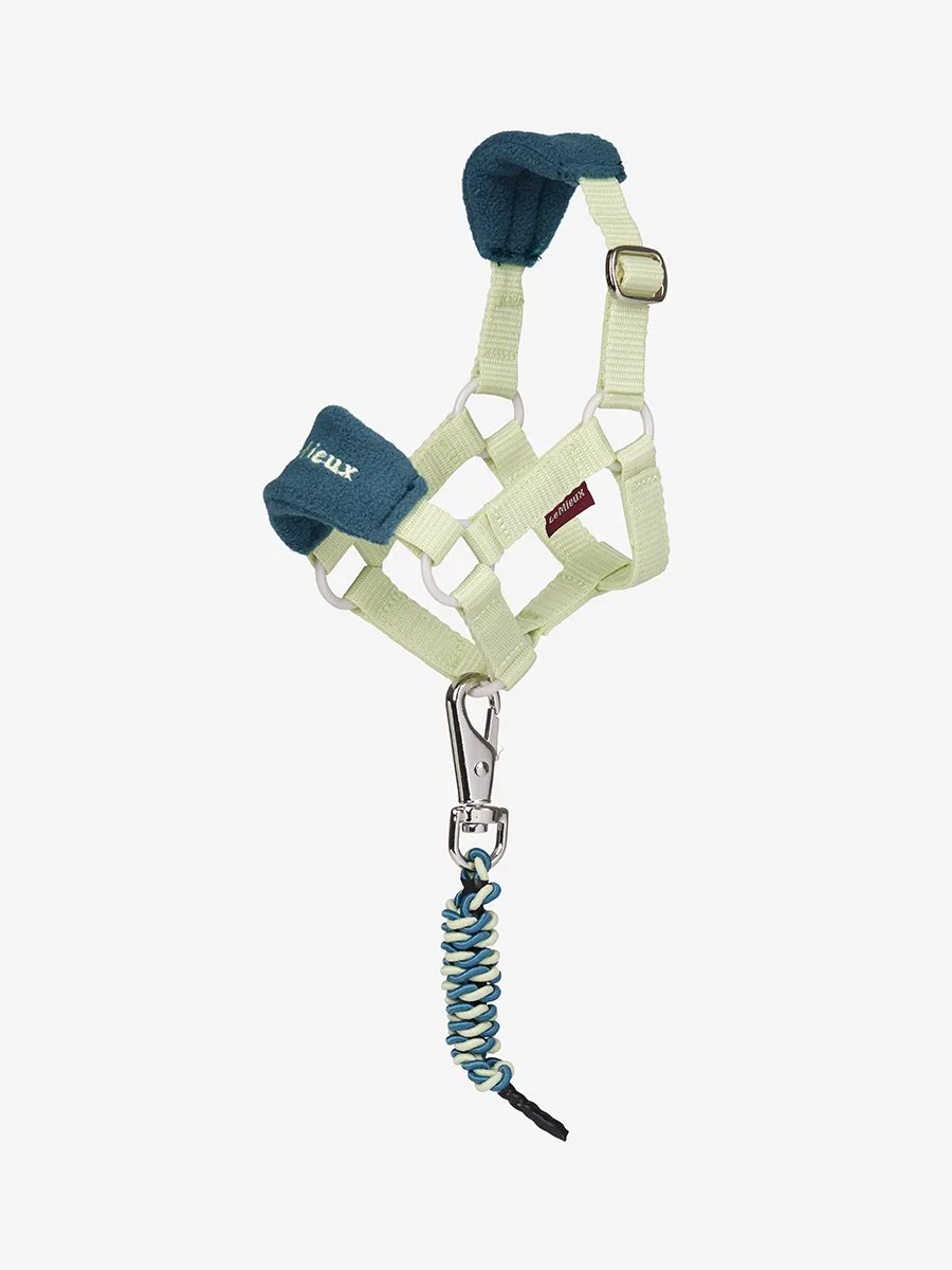 Halsterset Lemieux Toy Pony Vogue Ss26 de LeMieux en Vert clair – photo produit