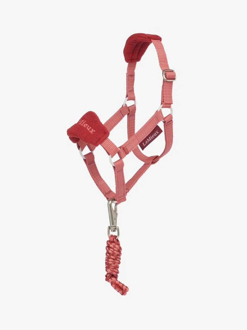 Hobby Horse Vogue Halster von LeMieux in Spiced Earth – Produktfoto