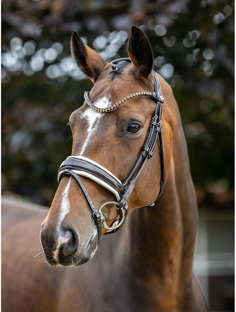 Hoofdstel Kudos Patent Dressage Bruin/Wit - FULL de LeMieux en Marron – photo produit
