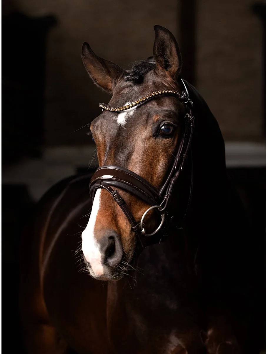 hoofdstel Kudos Patent Dressage - COB de LeMieux en Marron – photo produit