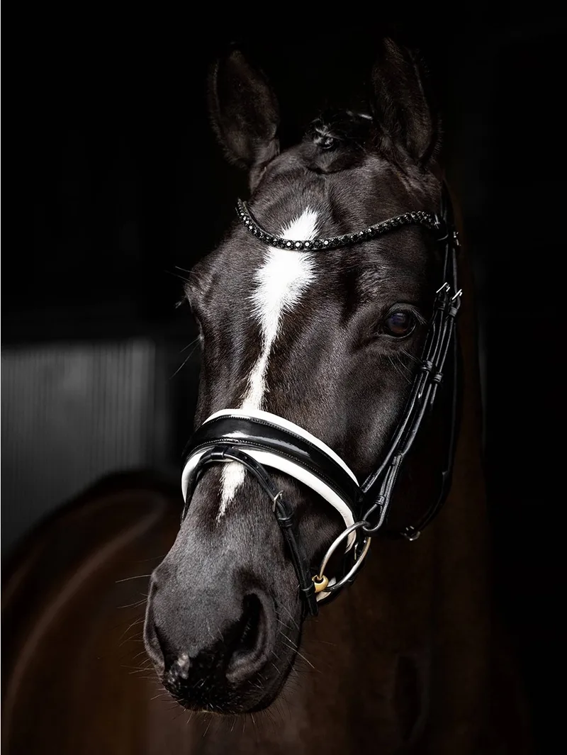 Hoofdstel Kudos Patent Dressage Zwart/Wit - Full von LeMieux in Schwarz – Produktfoto