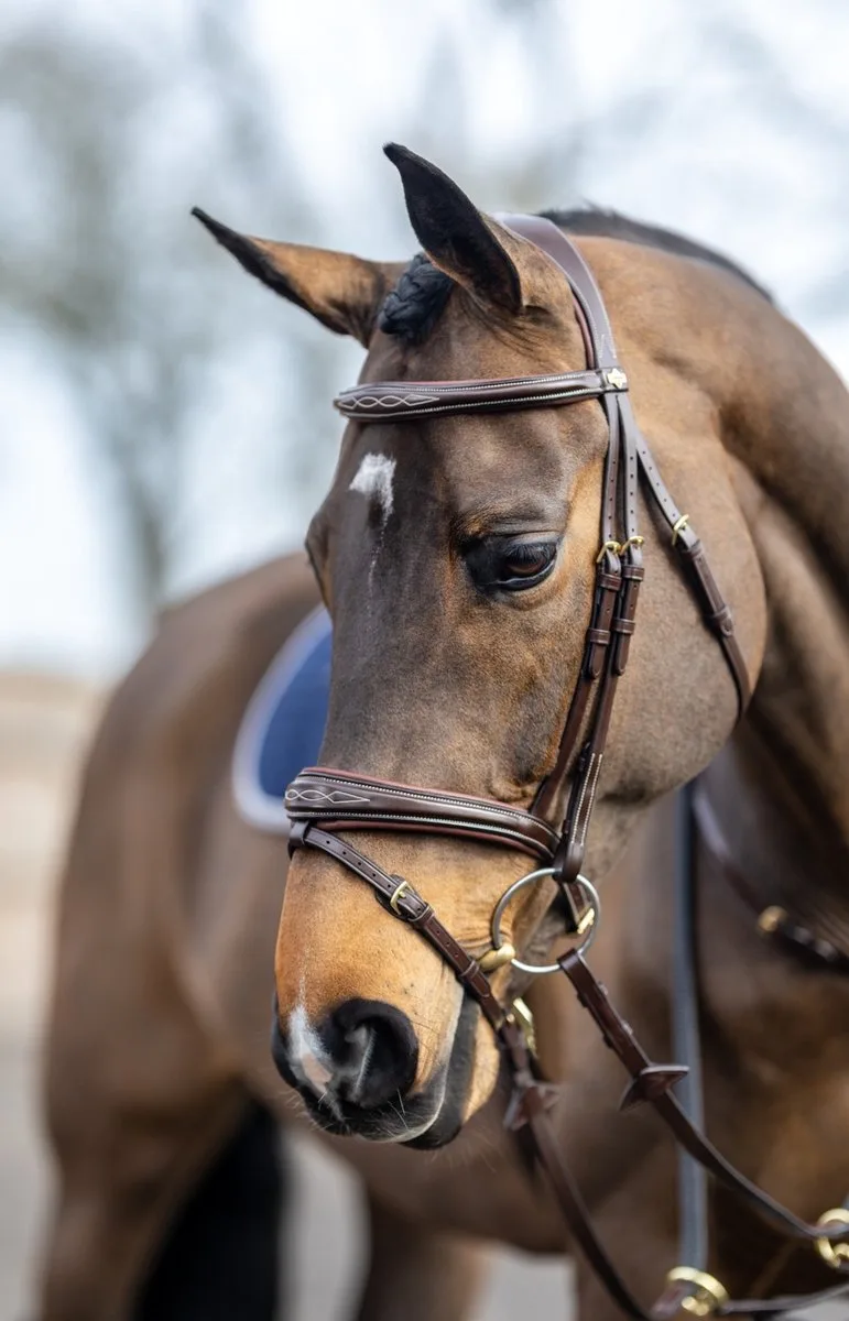 Hoofdstel Lemieux Competition Flash by LeMieux in Brown – product photo