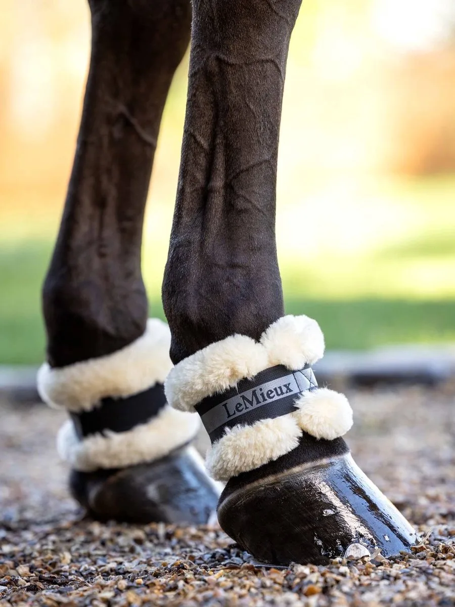 Kootbeschermers Lemieux Fleece de LeMieux en Noir – photo produit