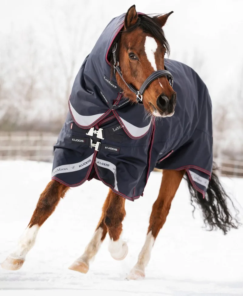 Kudos Turnout Paardendeken 195 by LeMieux in Kleurloos – product photo
