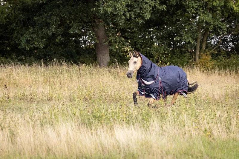 Kudos Turnout Paardendeken 215 by LeMieux in Kleurloos – product photo