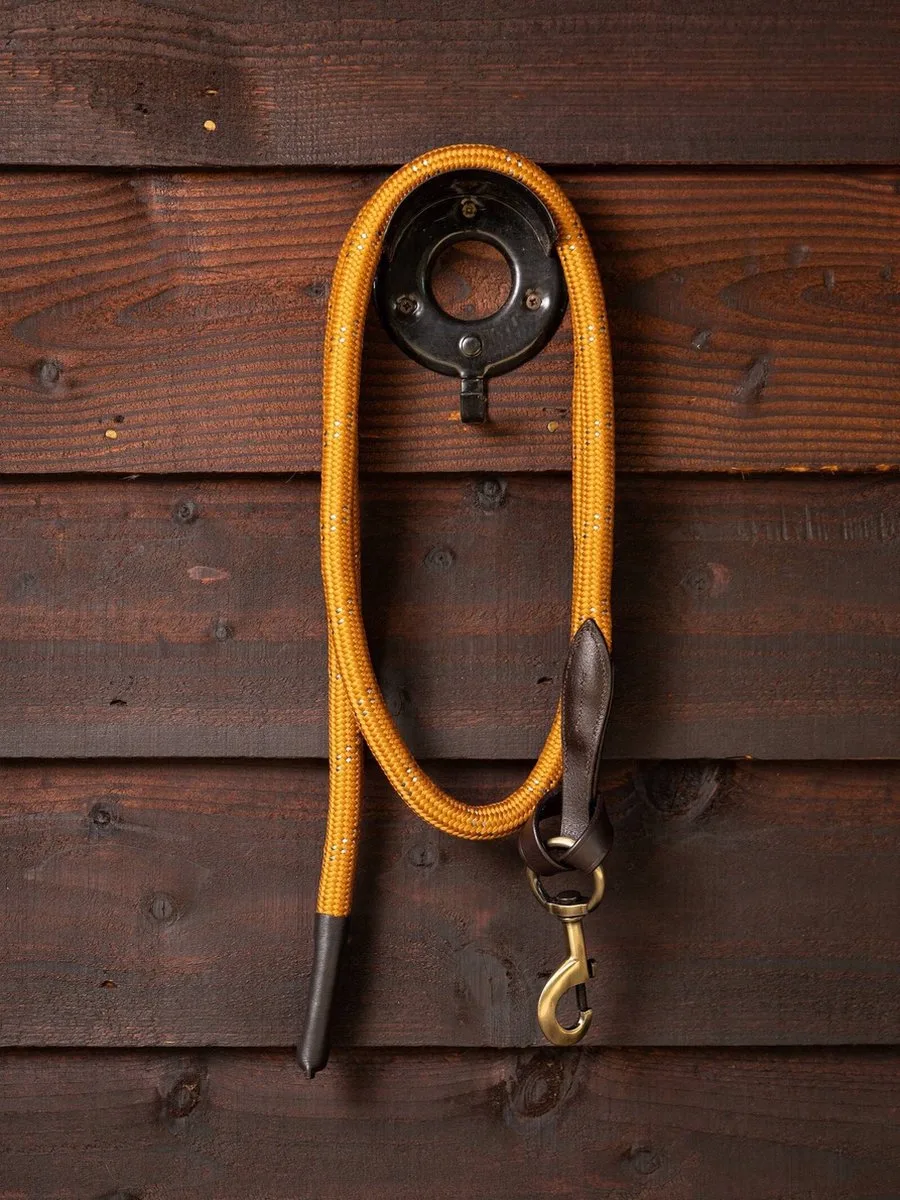 Lasso Halstertouw FW24 de LeMieux en Petrol – photo produit