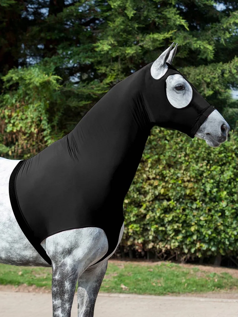 LYCRA HOOD van LeMieux in Zwart – productfoto