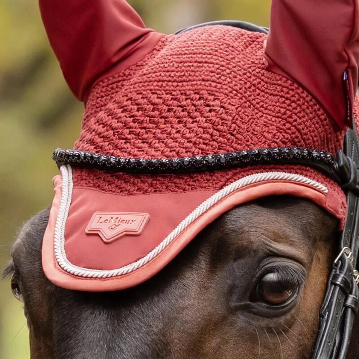 Oornetje LeMieux Loire Russet - Cob von LeMieux in Orange – Produktfoto