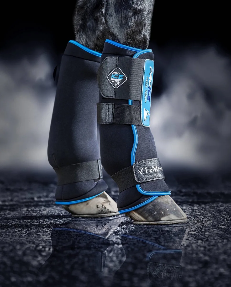 ProIce Freeze Boots - Verkoelende peesbeschermers M by LeMieux – product photo