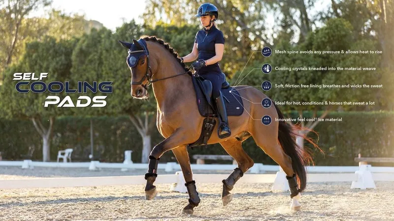 Self-Cool Zadeldek Full by LeMieux in Blue – product photo