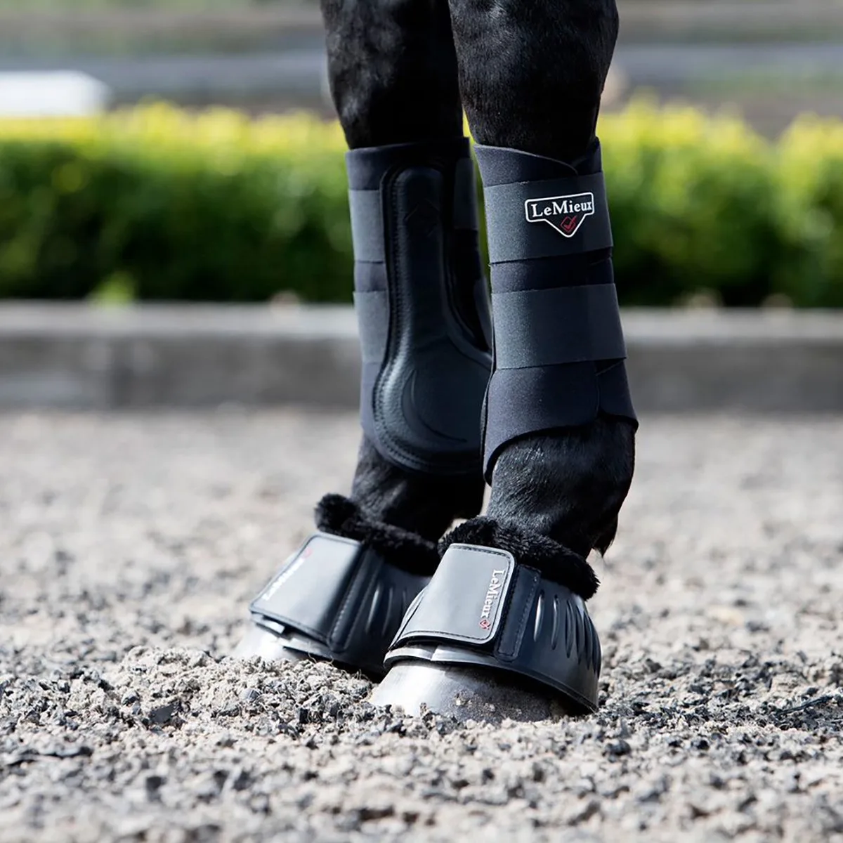 Springschoen rubber Bell Boots Fleece Black Black - XL | Springschoenen von LeMieux in Schwarz – Produktfoto