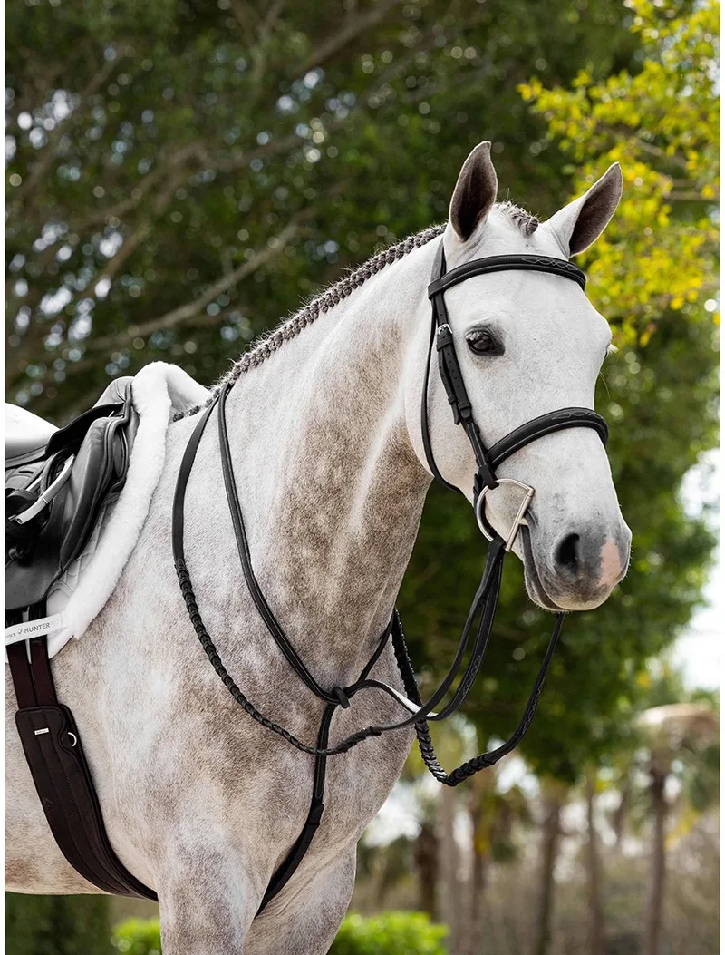 Teugels Lemieux Hunter Leather Laced by LeMieux in Zwart-zilver – product photo