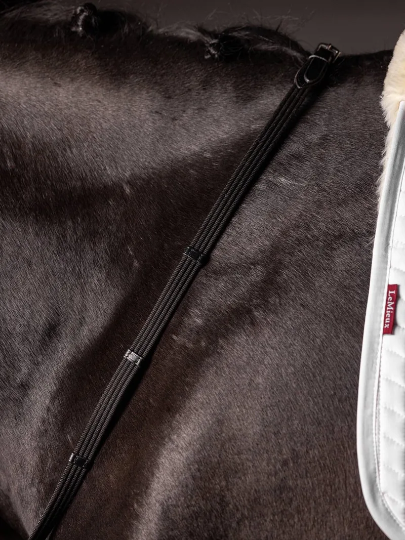 Teugels Lemieux Webbed Continental von LeMieux in Bruin-zilver – Produktfoto