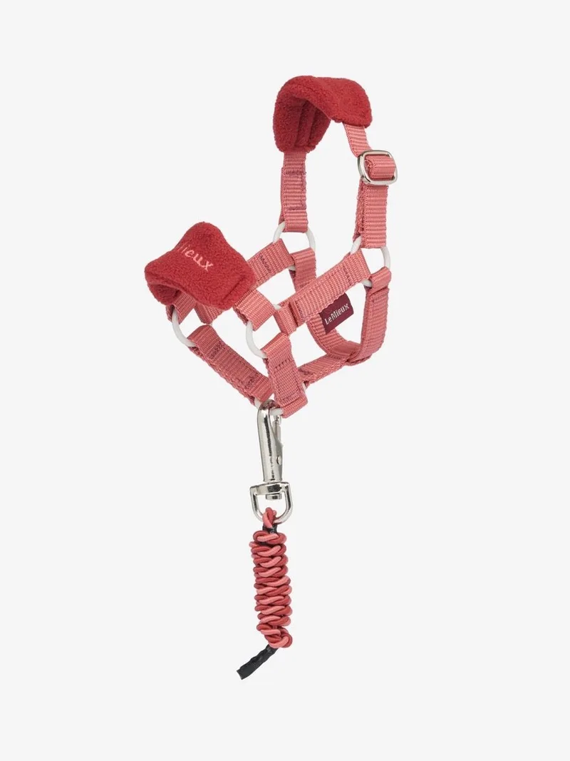 Toy Pony Vogue Halster by LeMieux in Spiced Earth – product photo