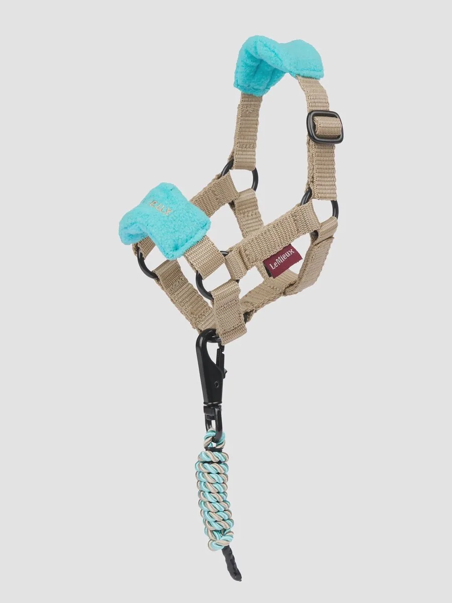 TOY PONY VOGUE HEADCOLLAR ONE SIZE by LeMieux in Chilli – product photo