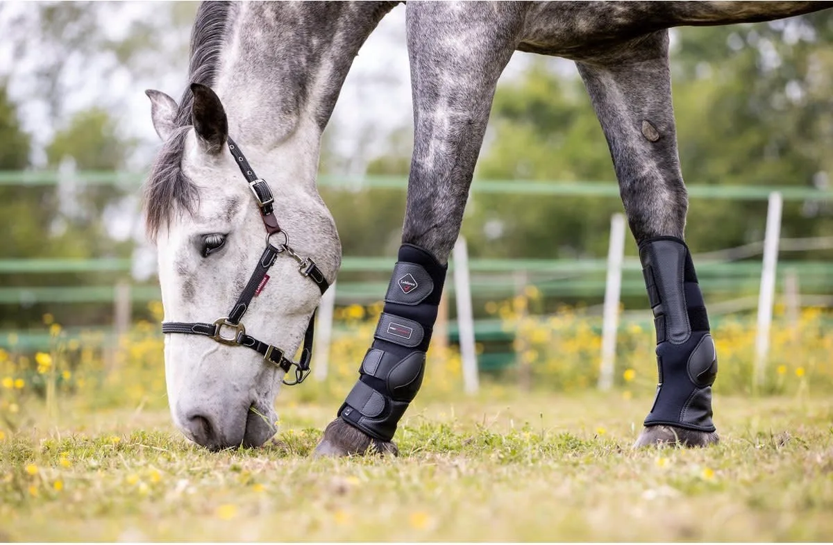 Turnout Boots Lemieux de LeMieux en Noir – photo produit