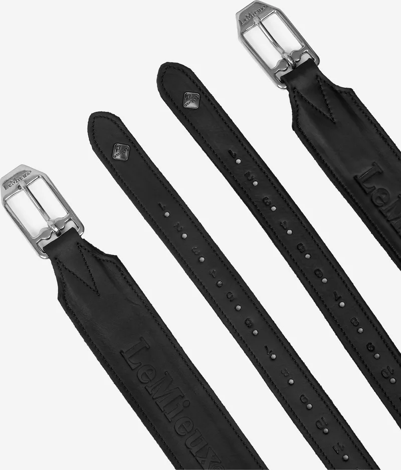 Vector Pro Beugelriemen 145cm de LeMieux en Noir – photo produit