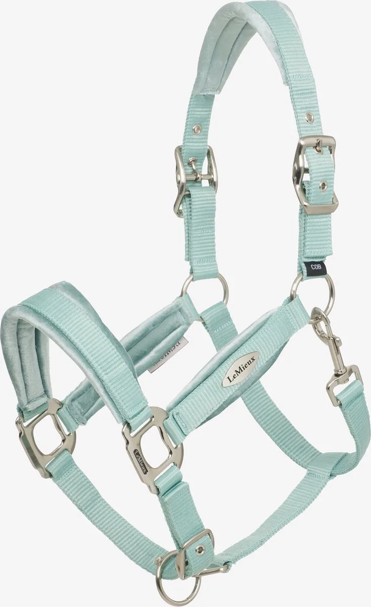 Versailles Halster ss25 Cob von LeMieux in Aqua – Produktfoto