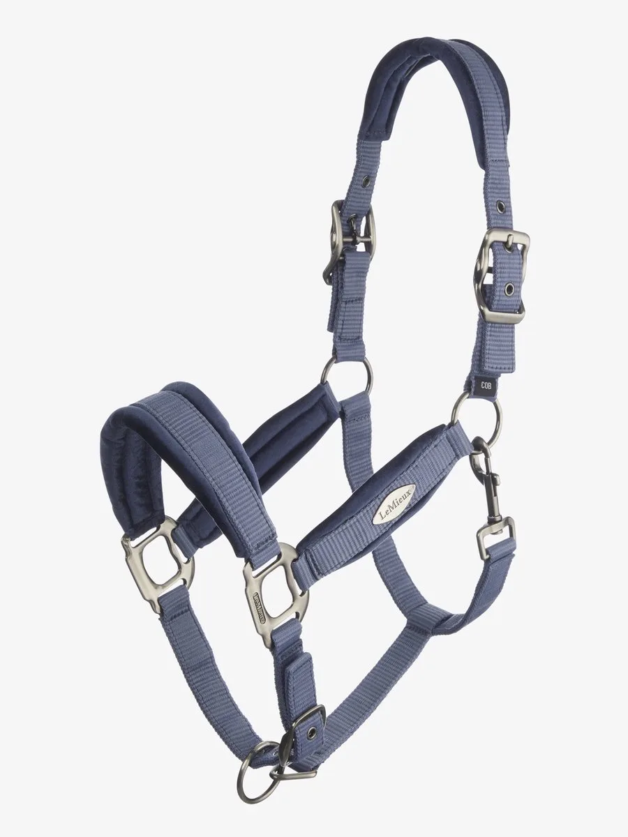 Versailles Headcollar Pony de LeMieux en Fern – photo produit