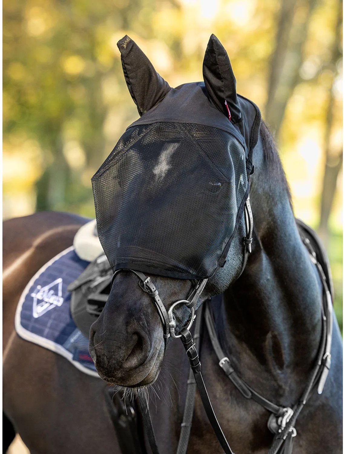 Vliegenmasker Lemieux Ride On Zwart - L van LeMieux – productfoto