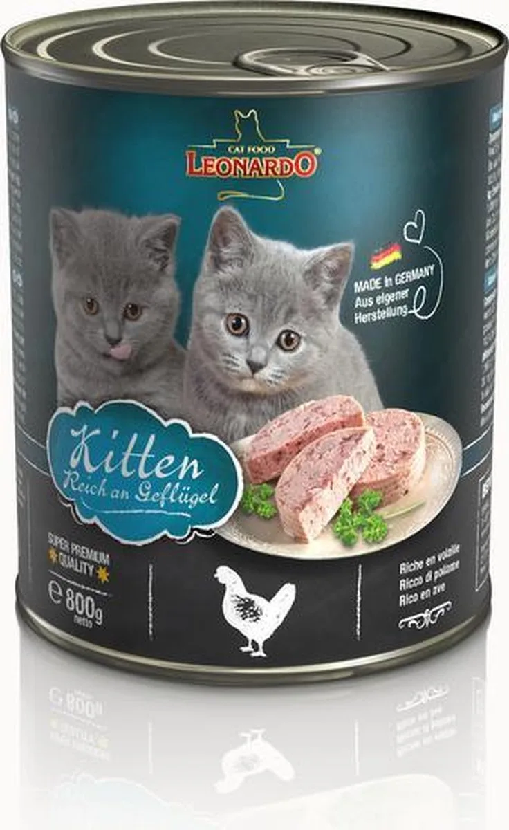 Kitten | 800 fra Leonardo – produktbillede