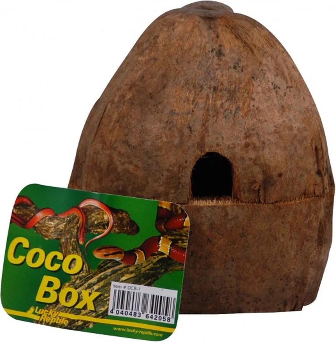 Coco Box by Lucky Reptile in Brown – product photo