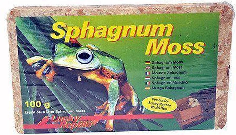 Natuurlijke decoratie SM-100 de Lucky Reptile – photo produit