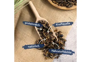 1 kg Lyra Pet® krekels gedroogd von Lyra Pet – Produktfoto 2 von 5
