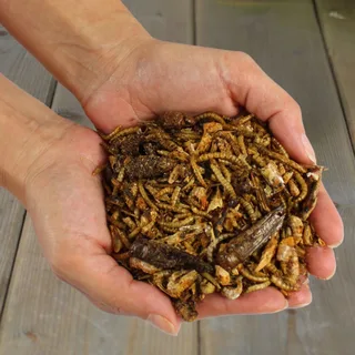 1 kg Lyra Pet® Protein Boost Insectenmix - met meelwormen, garnalen & sprinkhanen by Lyra Pet – product photo 5 of 5