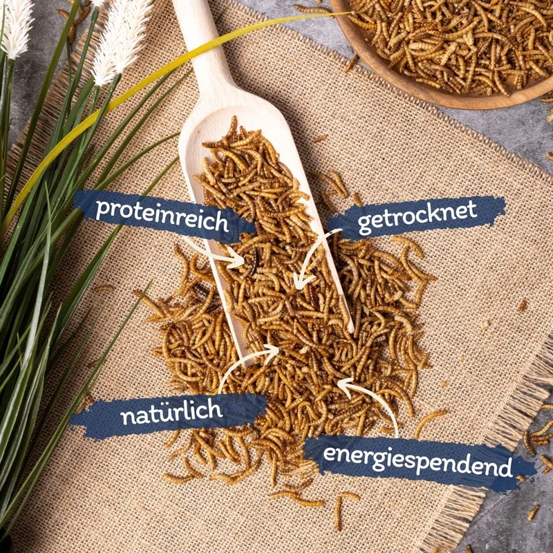 10 kg Lyra Pet® gedroogde meelwormen från Lyra Pet – produktbild 2 av 5