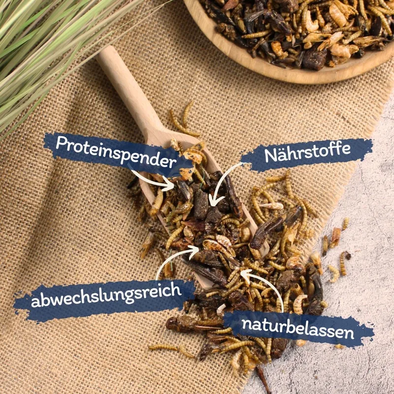 10 kg Lyra Pet® Protein Boost Insectenmix - met meelwormen, garnalen & sprinkhanen by Lyra Pet – product photo 2 of 5