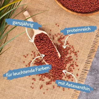 10 liter (3,7 kg) Lyra Pond® Pond Colour Astax Koi pellets visvoer vijvervoer de Lyra Pet – photo produit 2 sur 5