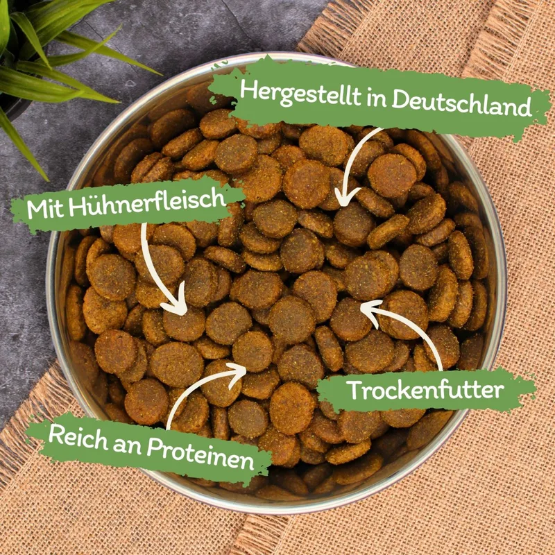 12 kg Lecker.Pet® Gino's Adult Maxi met kip droog hondenvoer volledig voer de Lyra Pet – photo produit 2 sur 5