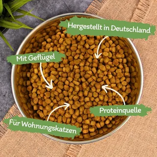 2,5 kg Lecker.Pet® Balu's Indoor Poultry Cat Food Droogvoer Compleet Voer de Lyra Pet – photo produit 2 sur 5