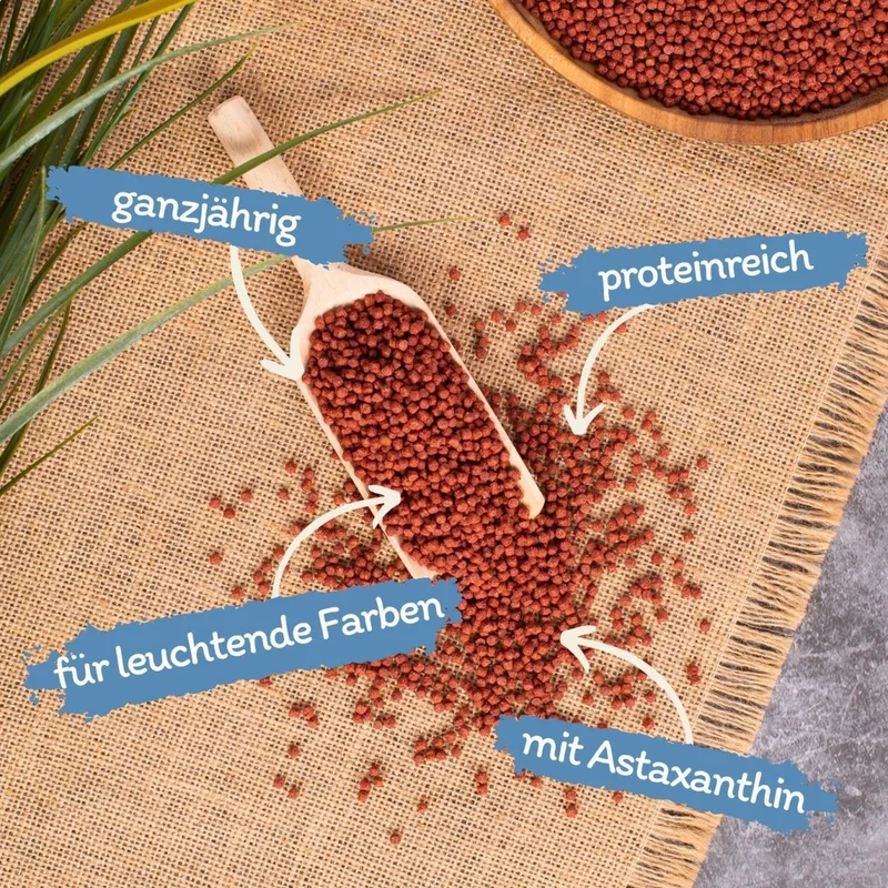 2 x 10 liter (7,4 kg) Lyra Pond® Pond Colour Astax Koi pellets visvoer vijvervoer von Lyra Pet – Produktfoto 2 von 5