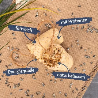 2 x 12 st. Lyra Pet® Protein Boost Graanreep met meelwormen van Lyra Pet – productfoto 2 van 5