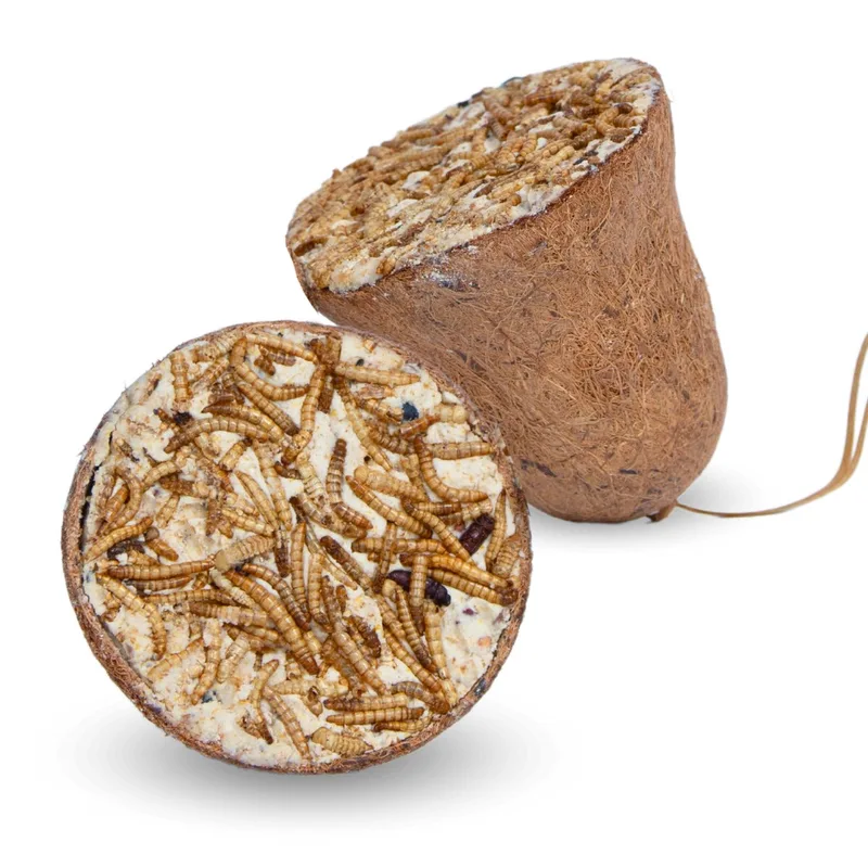 2 x 8 st. Lyra Pet® Protein Boost voerbak met meelwormen von Lyra Pet – Produktfoto