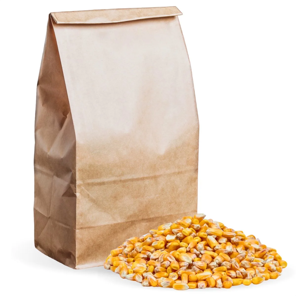 20 kg Lyra Pet® voedermaïs Kwaliteit voedergraanmaïs van Lyra Pet – productfoto
